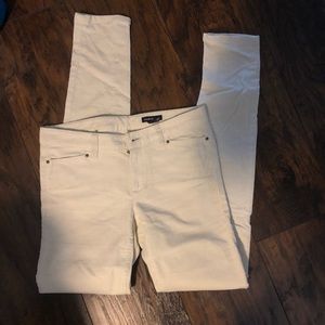 Club Monaco Velour Pants, worn once retail $125!!